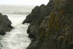 PICTURES/Oregon Coast Road - Seal Rock State Park/t_P1210660.JPG